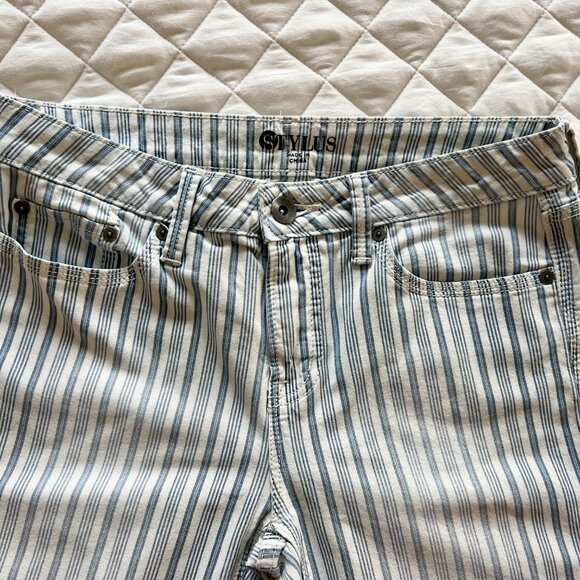 Stylus Blue & White Stripe Skinny Ankle Pants - Picture 1 of 6